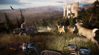 Far Cry 5 заставки и обои