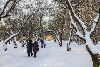 Семейные прогулки в зимнюю пору по парку