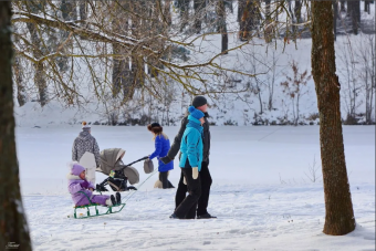 Семейные прогулки в зимнюю пору по парку