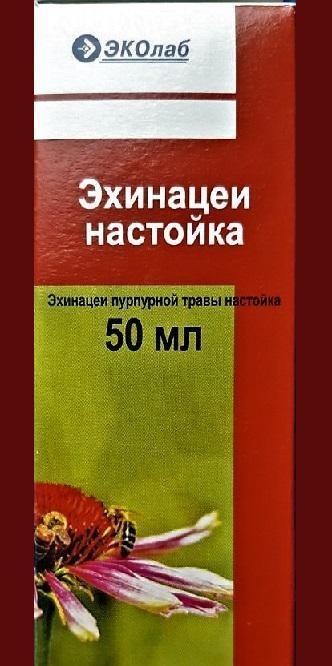 Настойка эхинацеи для укрепления иммунитета