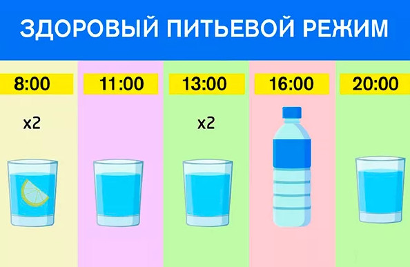В какие часы правильно пить воду?