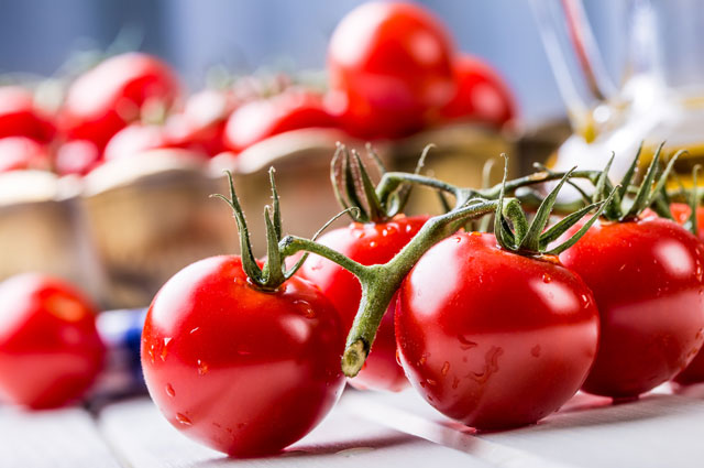 Как повысить урожайность помидор в теплице