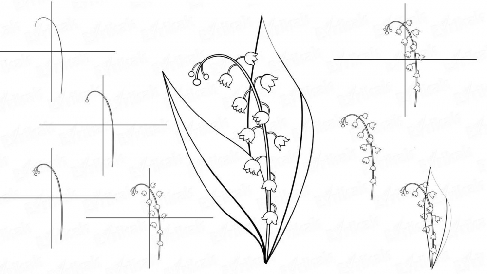 Как нарисовать поэтапно цветок - розу, лилию, незабудку, мак карандашом и красками, фото 6