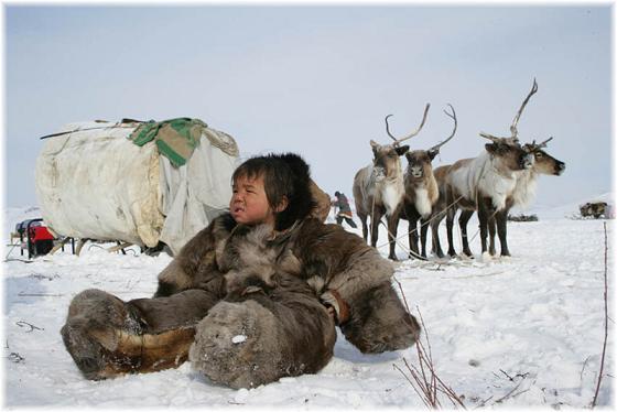 Смешной анекдот про Чукчу и охотника, фото 1