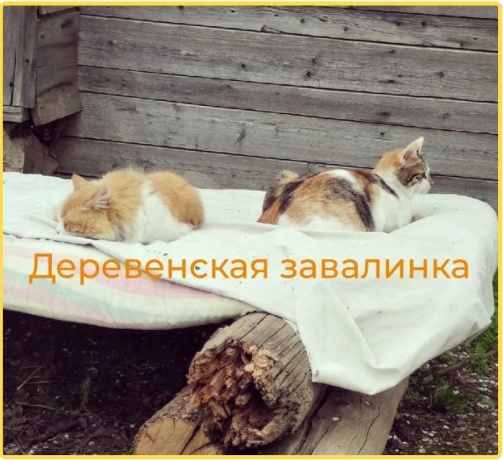 Жила - была тетя Мотя