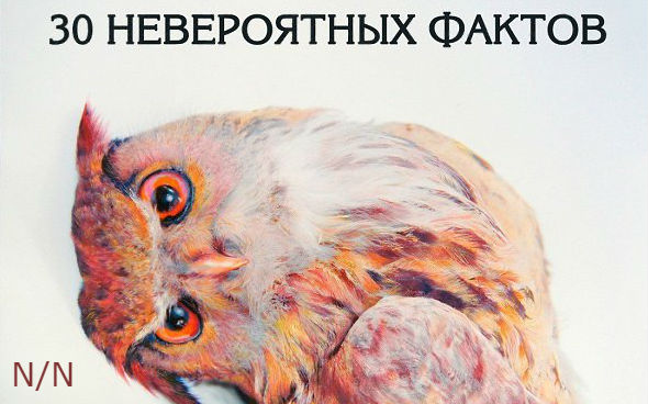 30 невероятных фактов!