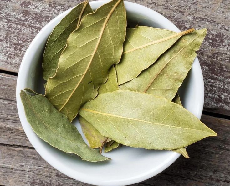 Как правильно хранить запасы пряжи и уберечь от моли , фото 1 Как правильно хранить запасы пряжи и уберечь от моли , фото 1