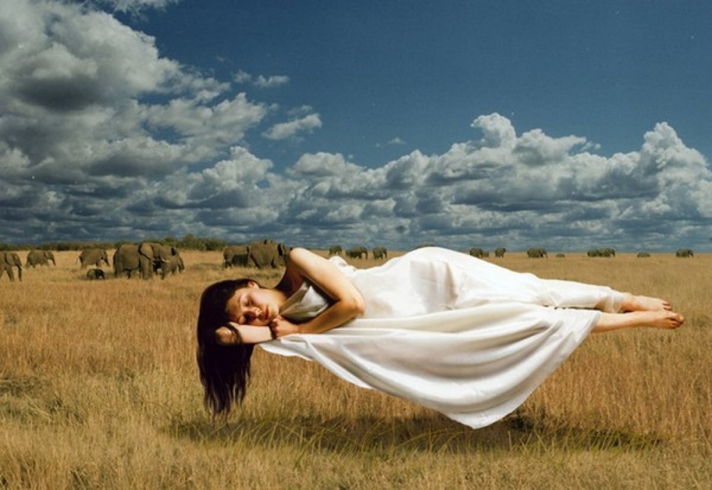 Кто видит сны?