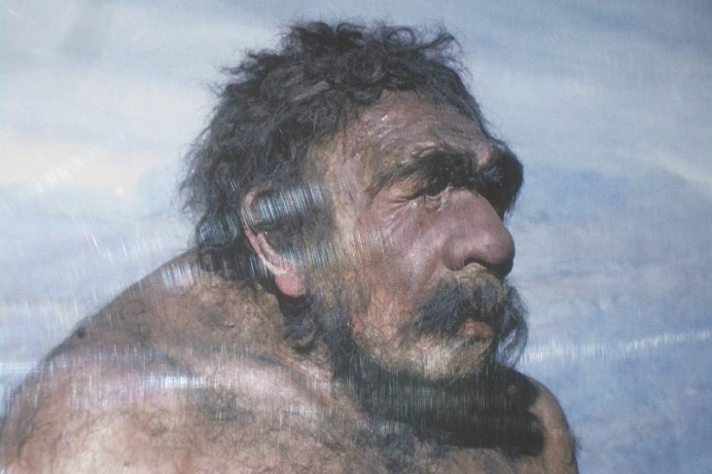 История исчезновения неандертальцев(своими словами)