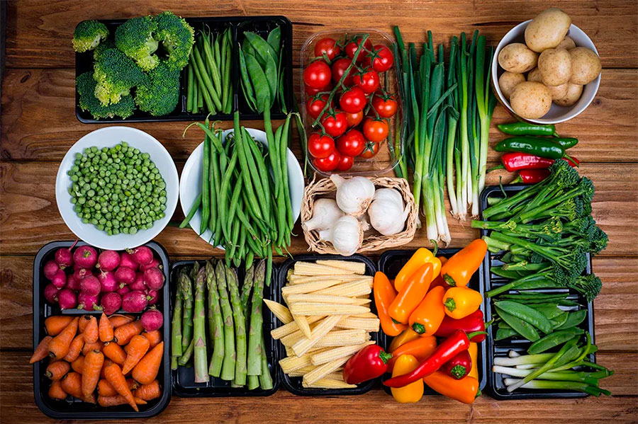 Растительная диета для начинающих – особенности и из чего состоит