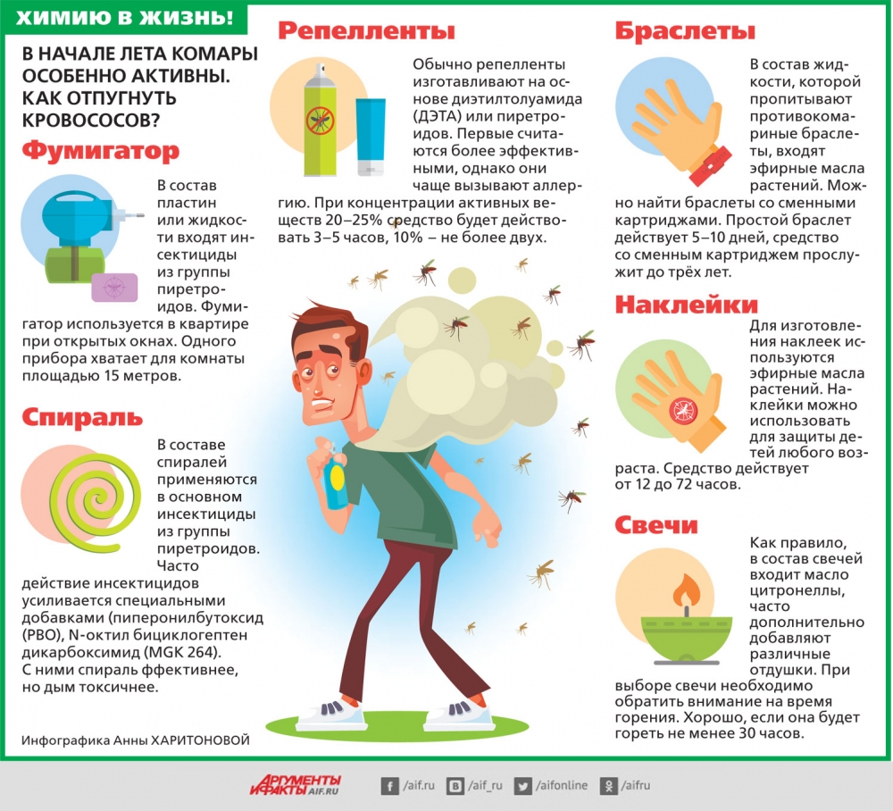 Как отпугнуть комаров: несколько простых и действенных советов