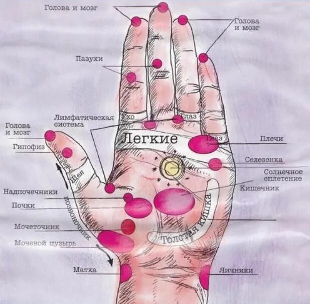 Как массаж может улучшить ваше самочувствие: Точки здоровья на пальцах