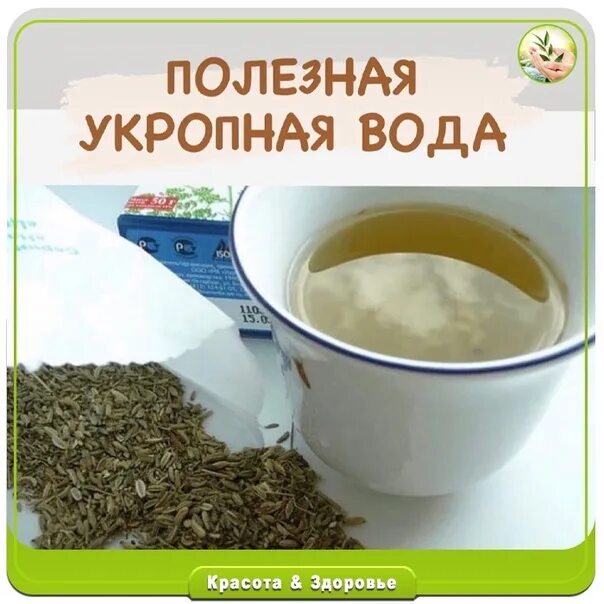 Укропная вода для похудения и снижения сахара в крови