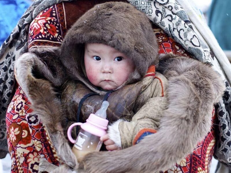 Ямальский бэби-бум: 3 миллиона за пеленки или как Север заманивает аистов
