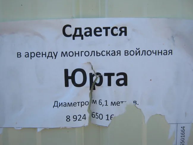 🏠 Арендный бум: Как изменился рынок жилья в России за год