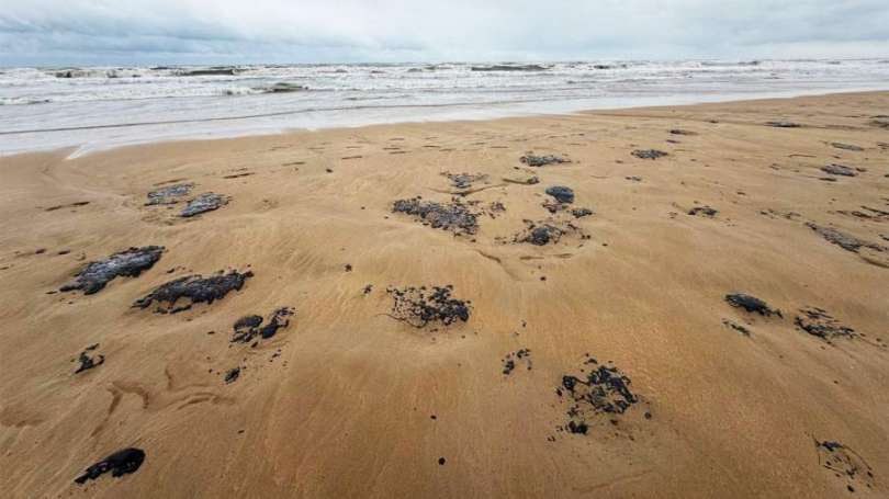 🌊 Мазут в Черном море: угроза для курортов и экосистемы