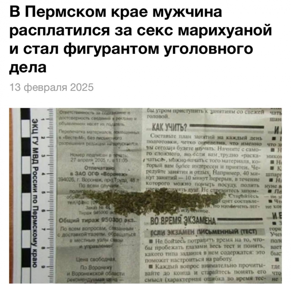 Необычная сделка: пермяк заплатил за секс марихуаной и водкой 😳