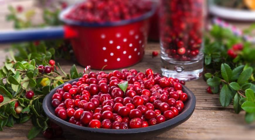 Брусника: Ягода, Способная Излечить Множество Болезней 🍇