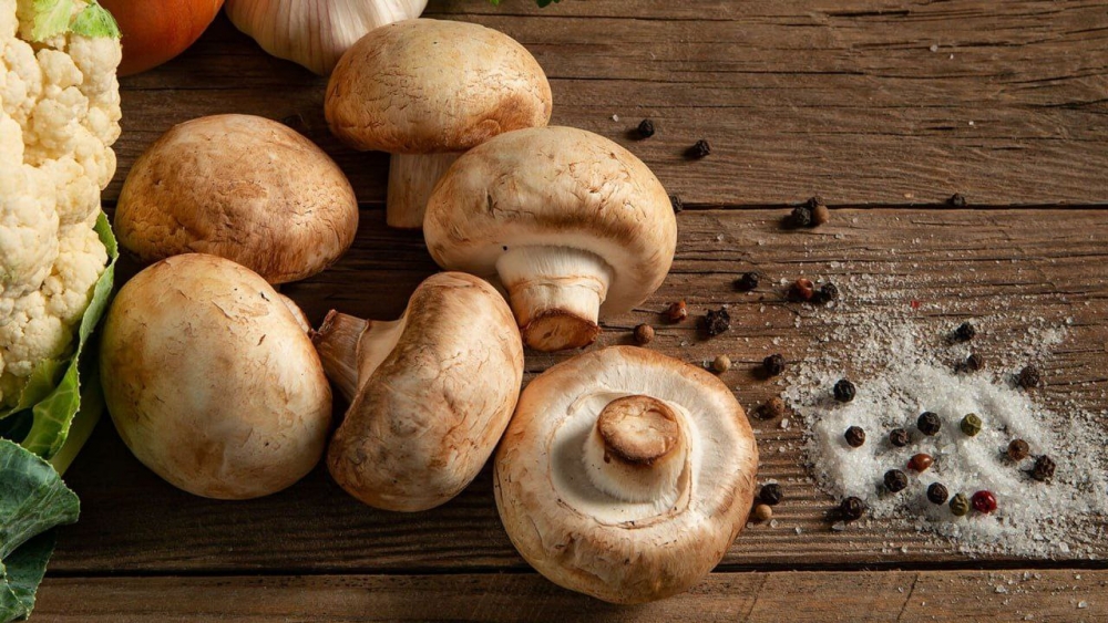 Почему грибы должны стать частью вашего рациона? 🍄