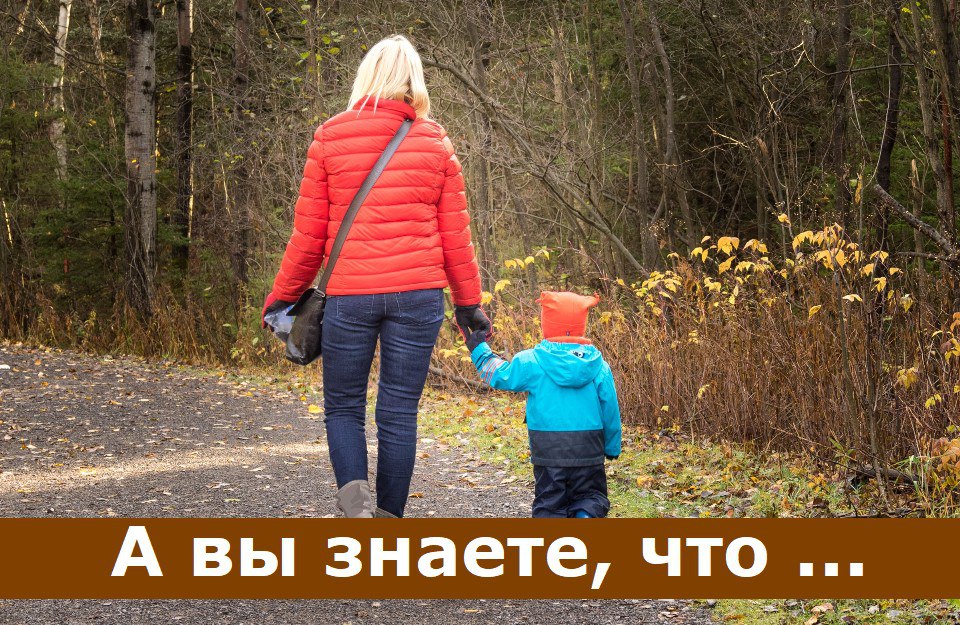 Наследство для детей: важные аспекты и завещание