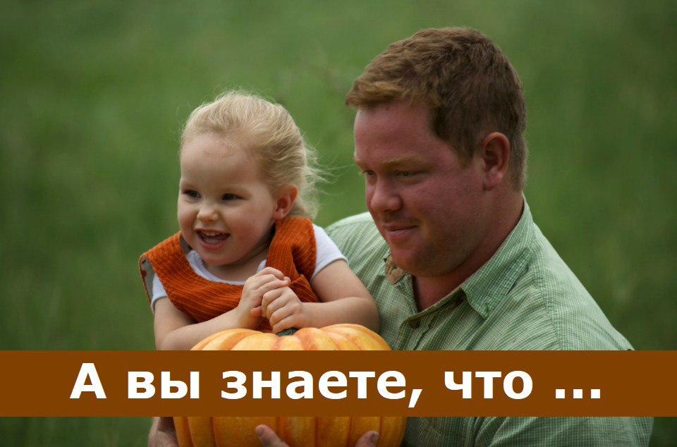 📌 Развод и налоговый вычет: Важные разъяснения от Минфина России 👨‍👩‍👧‍👦