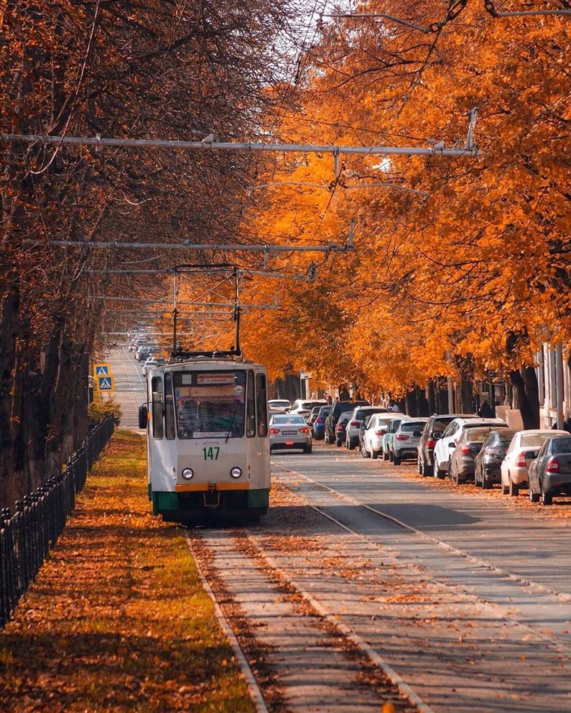 Осень на КМВ: Как я нашел свой дзен среди золотых пейзажей и целебного воздуха!