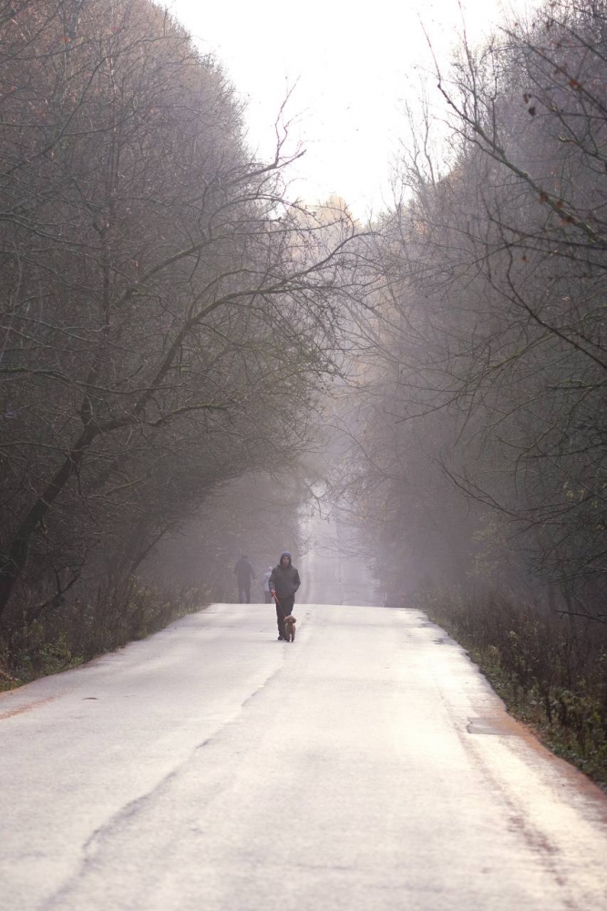 Ловим волшебство: Ноябрьский рассвет, который согревает душу! ✨