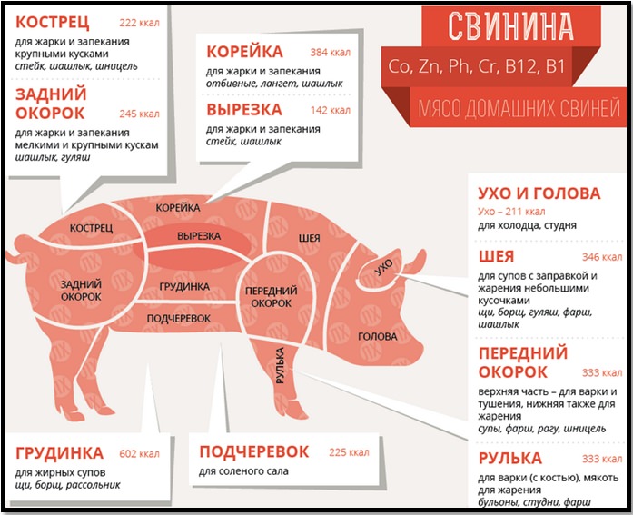 Какие виды мяса подходят для шашлыка?