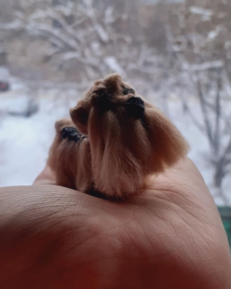 Никогда нигде этому не училась!, фото 1 Никогда нигде этому не училась!, фото 1