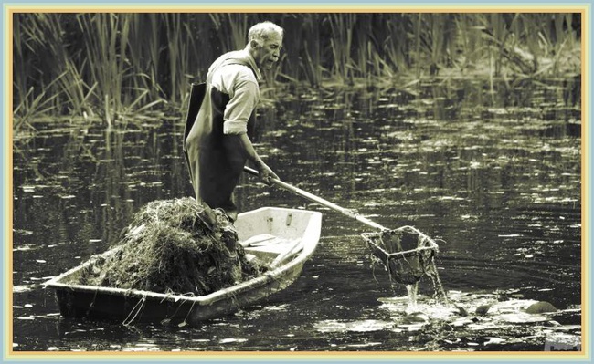 Забытые профессии. Ловец пиявок
