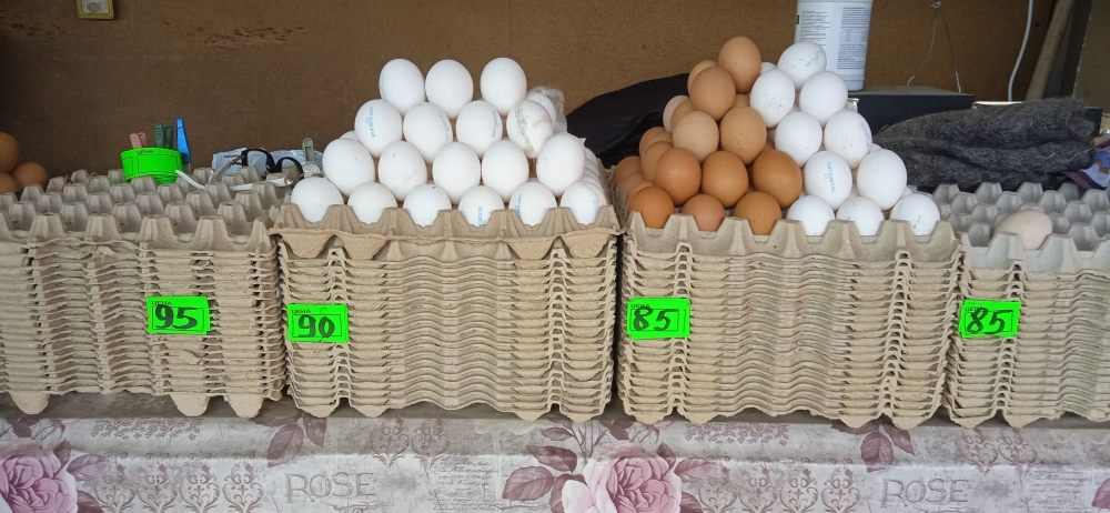 Рынок Привоз в Симферополе. Цены 31 марта 2023г., фото 10 Рынок Привоз в Симферополе. Цены 31 марта 2023г., фото 10