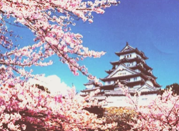 10 интересных фактов о Японии