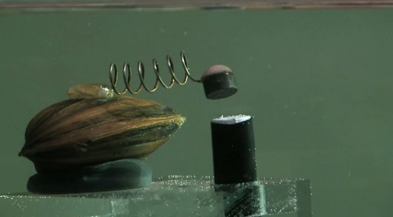 Природные контролёры