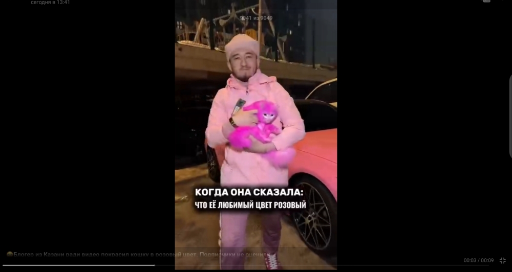Скандал с блогером из Казани: покраска кошки в розовый цвет вызвала общественное возмущение