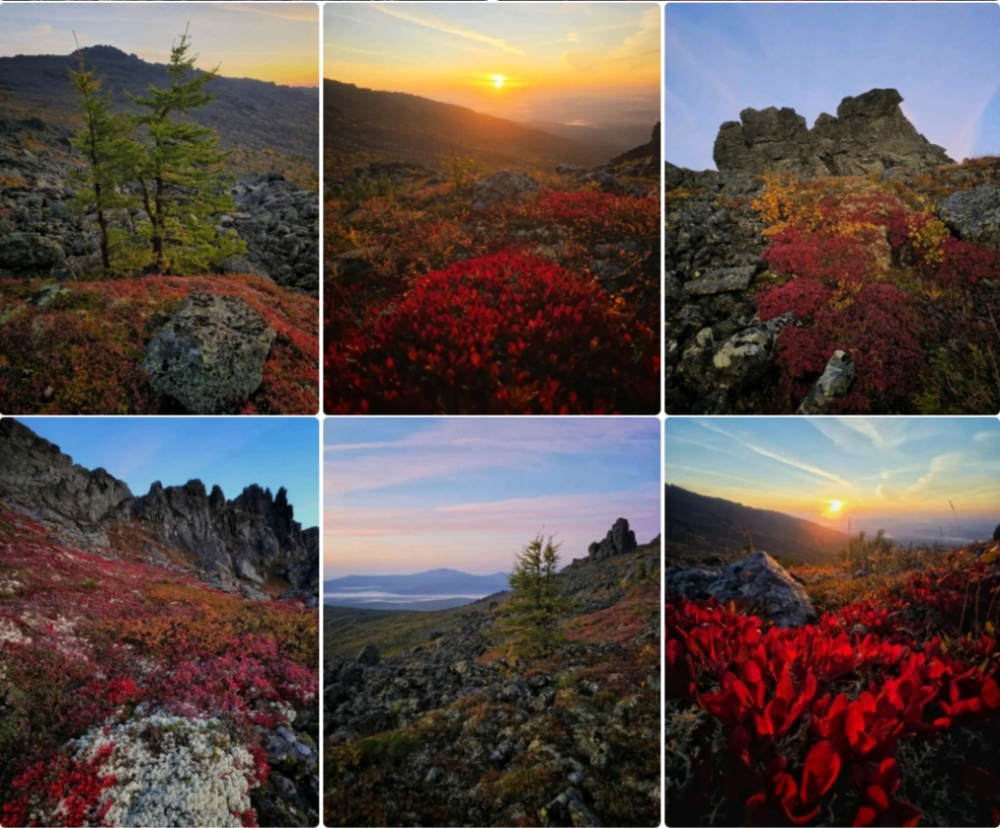 Когда осень зажигает на Урале: не просто листопад, а целое шоу! 🍁✨