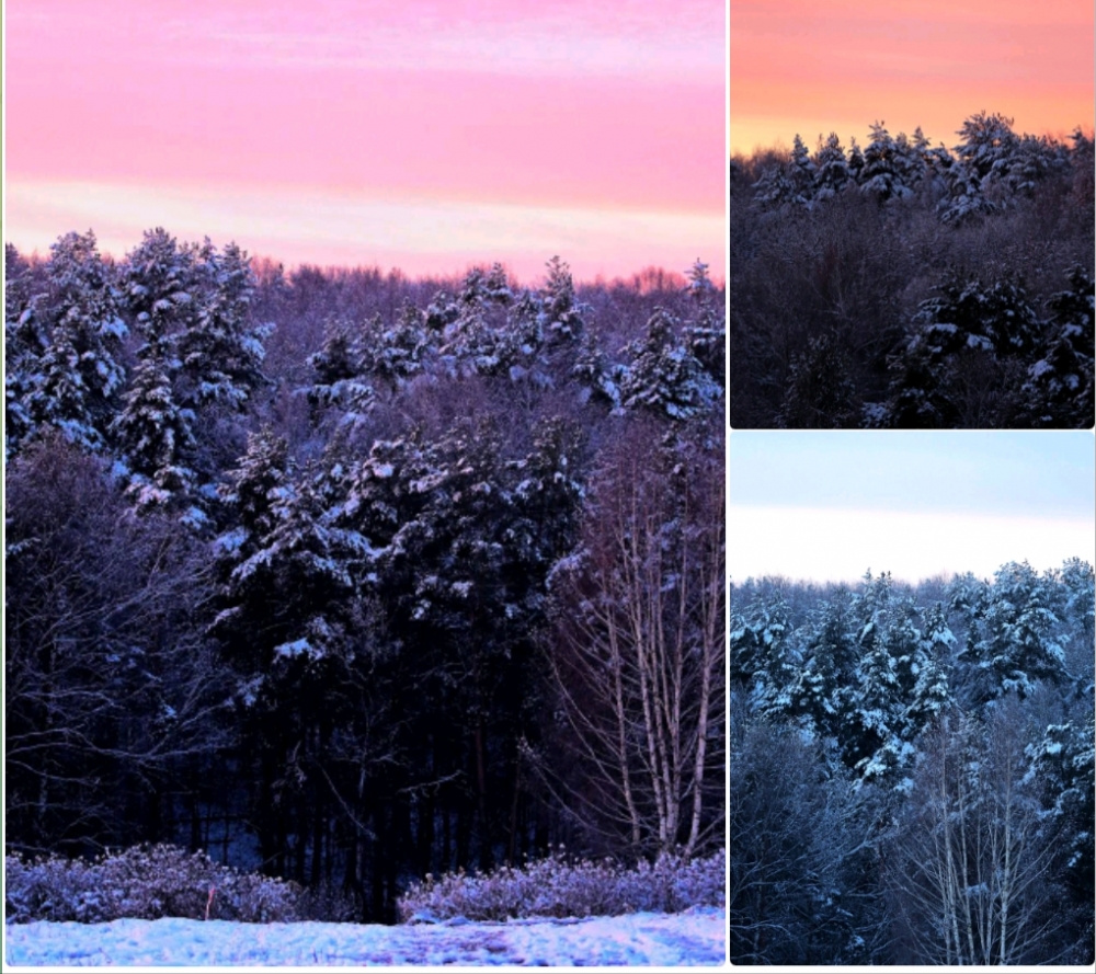  Розовые рассветы и зимняя магия: когда мир становится открыткой