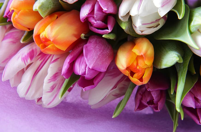 Что подарить учительнице на 8 марта