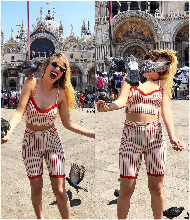 Просто смешные картинки для поднятия настроения, фото 4 Просто смешные картинки для поднятия настроения, фото 4