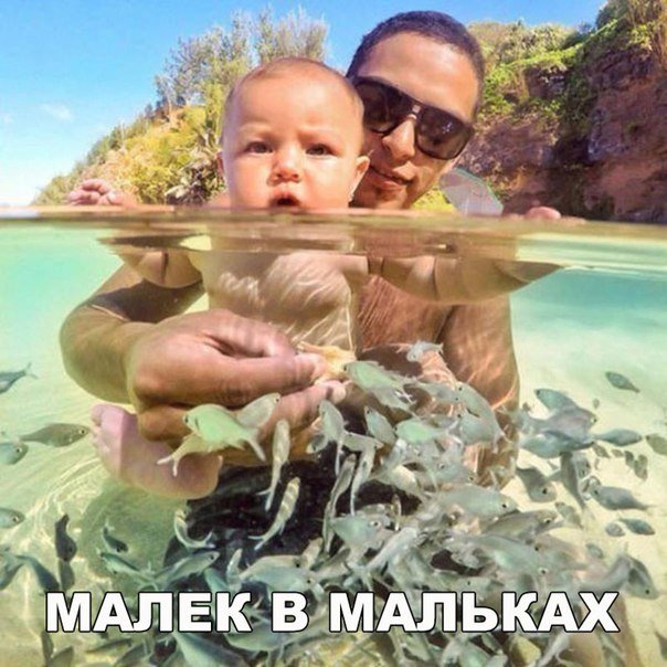 Просто смешные картинки для поднятия настроения, фото 6 Просто смешные картинки для поднятия настроения, фото 6