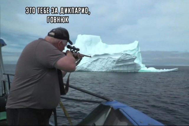 Просто смешные картинки для поднятия настроения, фото 8 Просто смешные картинки для поднятия настроения, фото 8