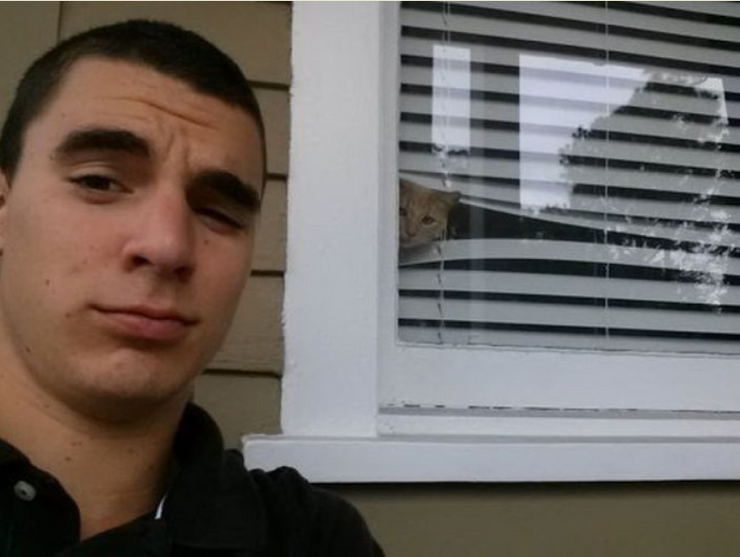 Просто смешные картинки для поднятия настроения, фото 22 Просто смешные картинки для поднятия настроения, фото 22