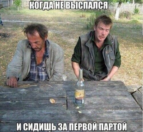 Просто смешные картинки для поднятия настроения, фото 26 Просто смешные картинки для поднятия настроения, фото 26