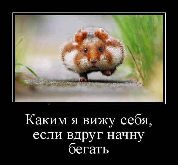 Прикольные картинки с надписями для поднятия настроения, фото 13 Прикольные картинки с надписями для поднятия настроения, фото 13