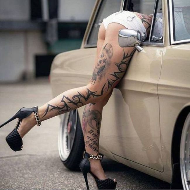 Красивые картинки, фотки красивых и любимых кисок, фото 13