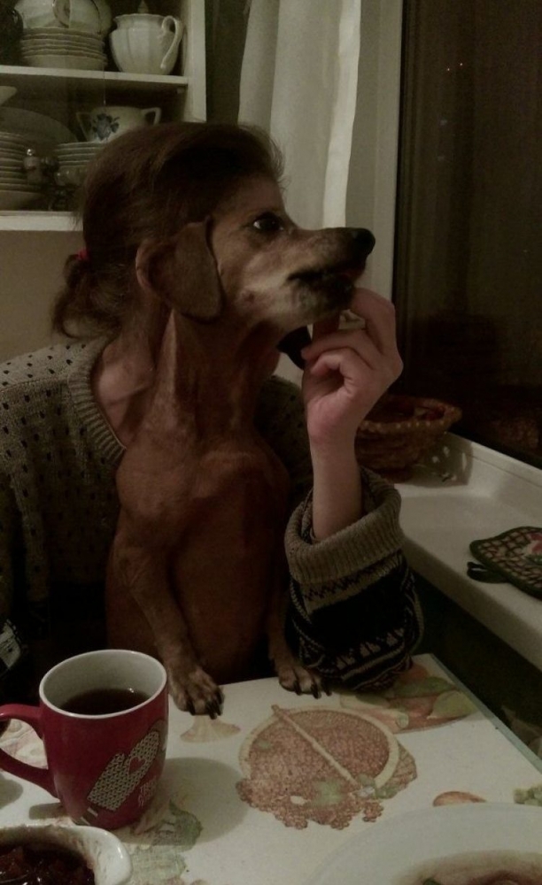 Интересные, забавные фото из серии - Вам показалось, фото 4