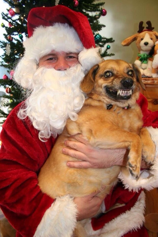 Новогодний позитивчик, фото 17