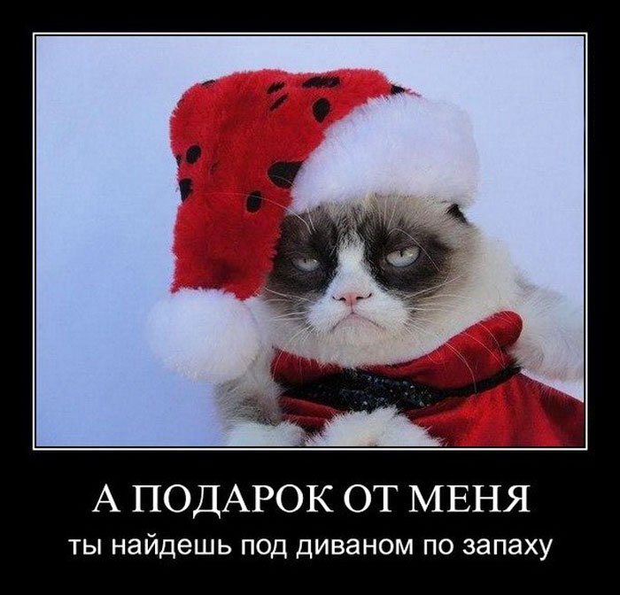 Новогодний позитивчик, фото 12