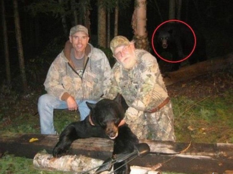 Хобби настоящих мужчин!, фото 27