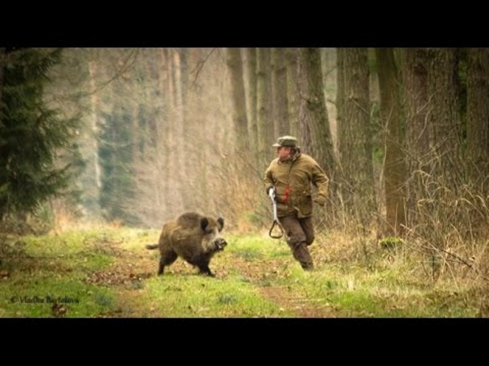 Хобби настоящих мужчин!, фото 18