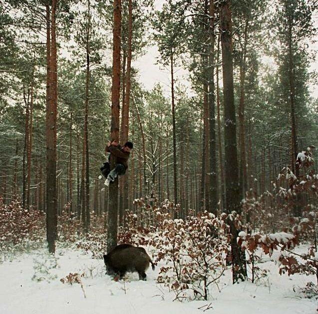 Хобби настоящих мужчин!, фото 17